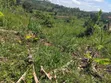 Mukono Land - 2 Acres Residential - 1