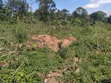 Mukono Land - 2 Acres Residential - 2