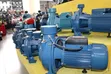 ACE Surface Electric Water Pumps - All Sizes - 2