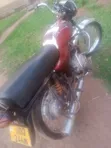 Bajaj Boxer 2014 Red - 4