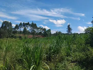 Agricultural Land for Sale - 3 Acres, Nakisunga