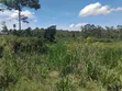 Agricultural Land for Sale - 3 Acres, Nakisunga - 3