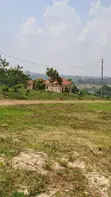 Half-Acre Mailo Land in Ddundu-Mukono, Off Gayaza/Kayunga Road - 3