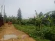 38 Decimals Land for Sale in Kirinya, Bukasa - 2