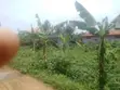 38 Decimals Land for Sale in Kirinya, Bukasa - 4