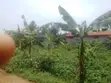 38 Decimals Land for Sale in Kirinya, Bukasa - 5