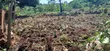 Residential Plots for Sale at Mpambire - 1