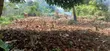 Residential Plots for Sale at Mpambire - 2