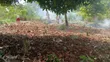 Residential Plots for Sale at Mpambire - 3