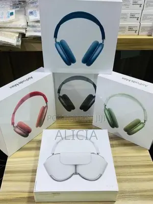 Brand New JBL P9 On-Ear Headphones
