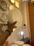Sphere Light / Bathroom Light - 1