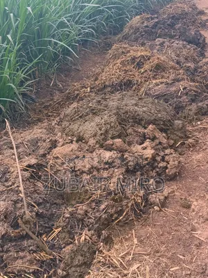Natural Cow Dung Fertilizers