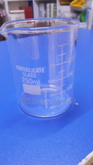Glass Beakers 250ml