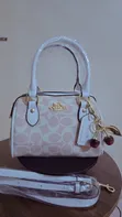 Coach Rowan Mini Bag - 1
