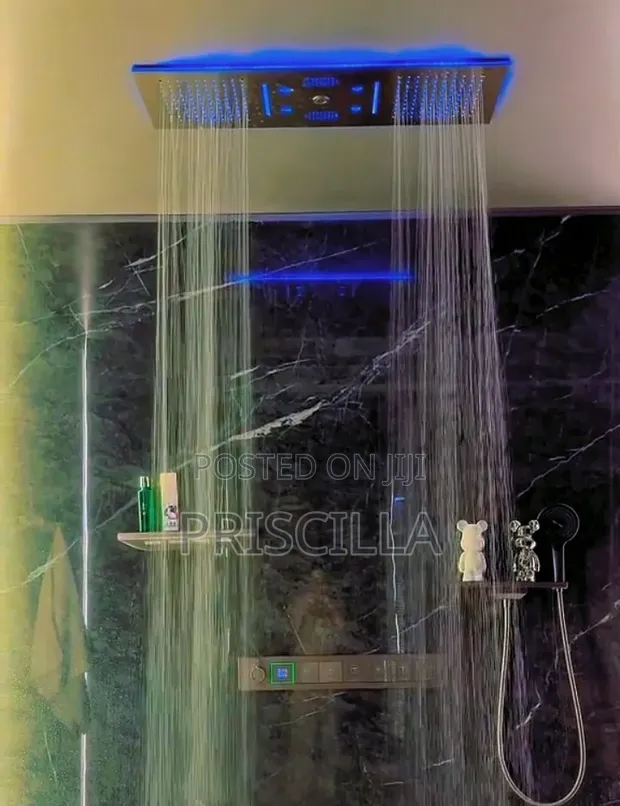 AirCloud Concealed Ceiling Shower - 1