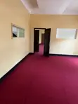 Wall to Wall Turkish Woolen Carpet (Ordinary) - 2