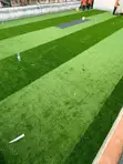 Artificial Grass Carpet - UGX 45,000/sqm - 1