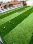 Artificial Grass Carpet - UGX 45,000/sqm - 2