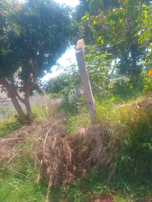 Kaga Plot for Sale in Kitende