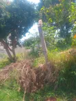 Kaga Plot for Sale in Kitende - 1