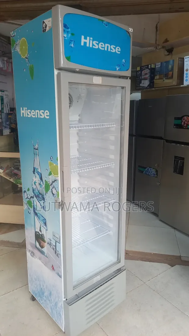 Hisense 370L Chiller - 1