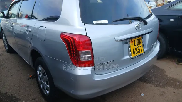 Toyota Corolla Fielder 1.8 Petrol FWD 2009 Silver - 1