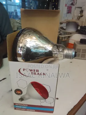 Chicken House Heating Bulb