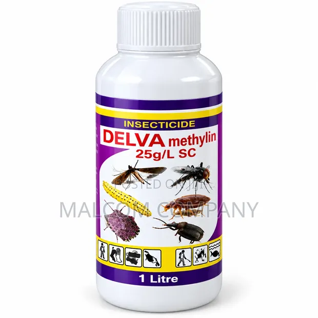 Delva Methylin 1L Odorless Household Insecticide - 1