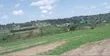Prime Plots for Sale at Bujjuko Harmony Land Estate, Mityana Road - 3