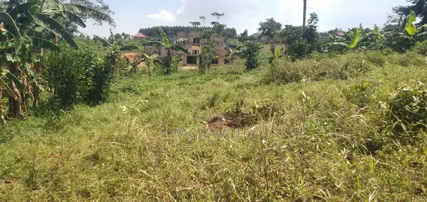 Land for Sale in Matugga, 50x40ft, UGX 11 Million - 1