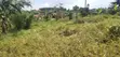 Land for Sale in Matugga, 50x40ft, UGX 11 Million - 1