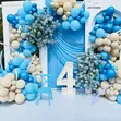 Custom Home Birthday Decorations Setup - 1
