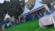 Custom Home Birthday Decorations Setup - 3
