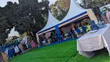 Custom Home Birthday Decorations Setup - 4