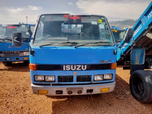 Isuzu Elf NRR 2 Ton Dump Truck - 1