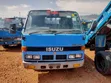 Isuzu Elf NRR 2 Ton Dump Truck - 1