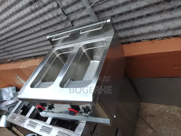 Commercial Double Bowl Gas Fryer - 1