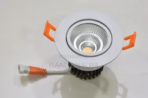 Brand New Ceiling Spotlight