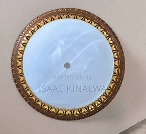 Brand New Ceiling Lights