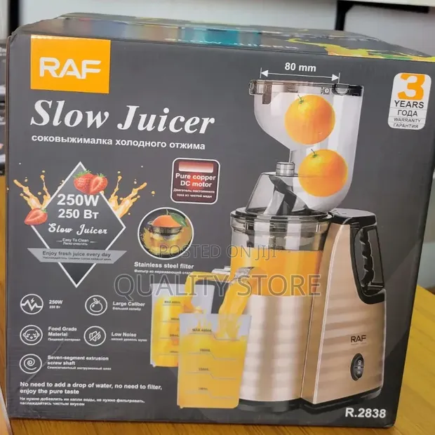 Commercial Electric Slow Juicer - RAF R.2838 - 1