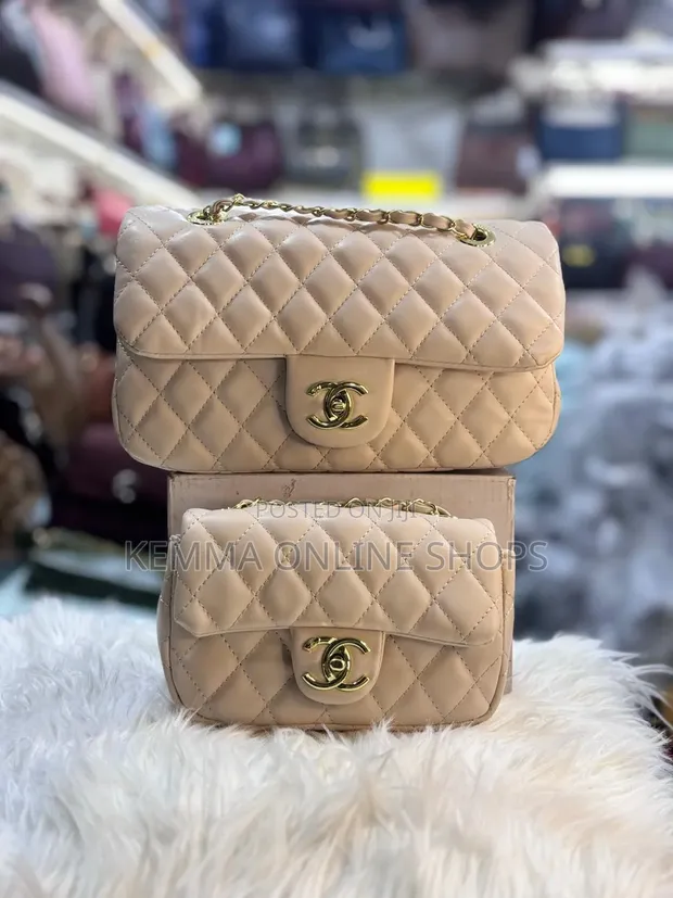 Chanel Two-Piece Handbag - 1