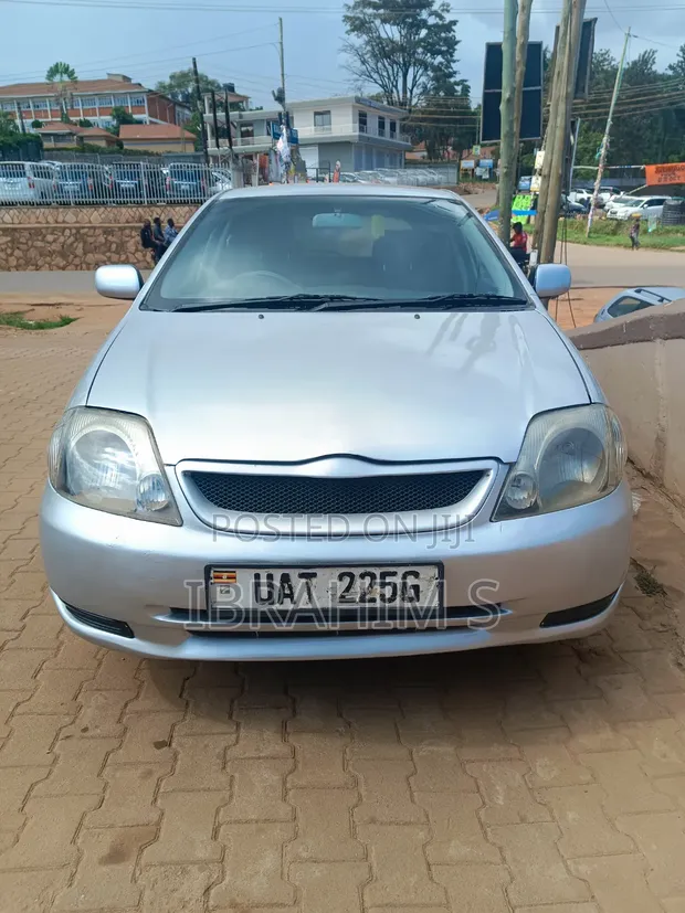 Toyota Allex 2005 Silver - 1
