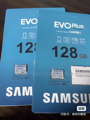 128GB Samsung EVO Plus microSDXC Memory Card