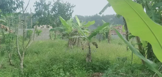 50x40 Ft Plot for Sale in Matugga Buwambo - 1