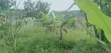50x40 Ft Plot for Sale in Matugga Buwambo - 1