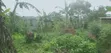 50x40 Ft Plot for Sale in Matugga Buwambo - 2