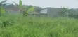 50x40 Ft Plot for Sale in Matugga Buwambo - 3