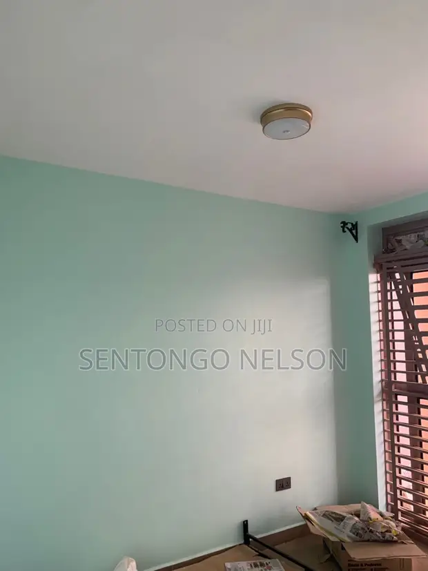 Kampala Painter - Interior & Exterior Services - 1
