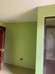 Kampala Painter - Interior & Exterior Services - 3