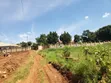 Plot for Sale in Mpelerwe Jokorela - 50x100ft with Land Title - 5